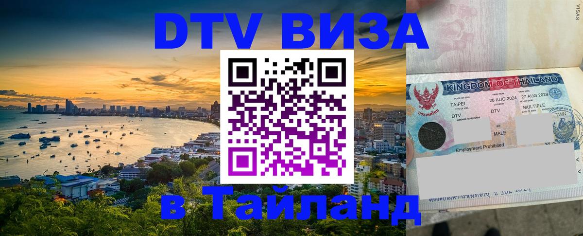 Оформление DTV визы под ключ: стоимость и тарифы, только загранпаспорт - 05.12.2025 